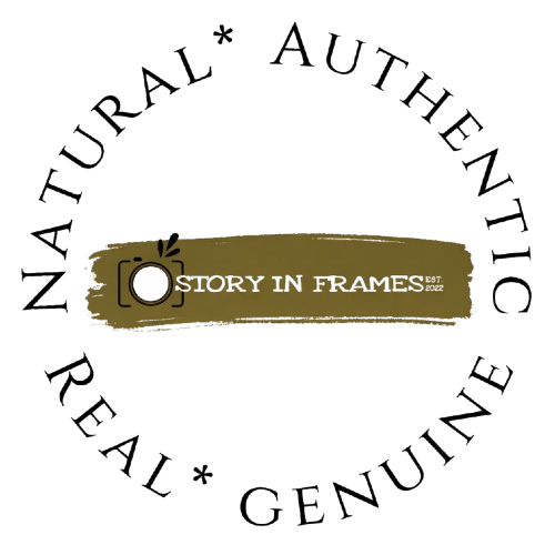 Story in Frames Logo